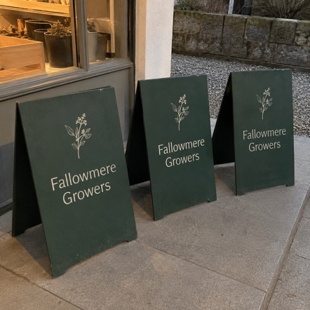 A-Frame Sandwich Boards